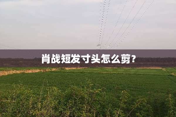 肖战短发寸头怎么剪？