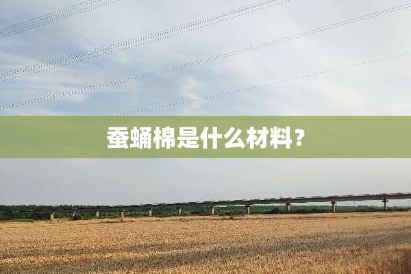 蚕蛹棉是什么材料？