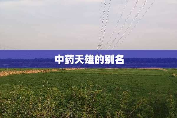 中药天雄的别名