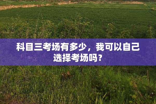 科目三考场有多少，我可以自己选择考场吗？
