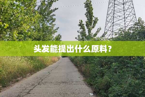 头发能提出什么原料？