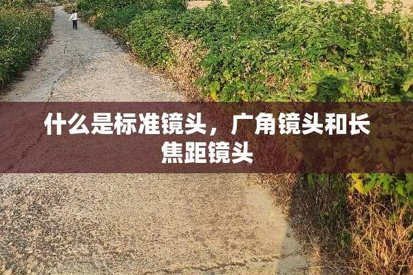 什么是标准镜头，广角镜头和长焦距镜头