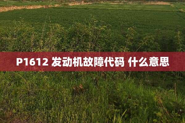 P1612 发动机故障代码 什么意思