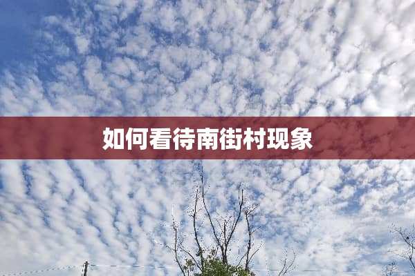 如何看待南街村现象