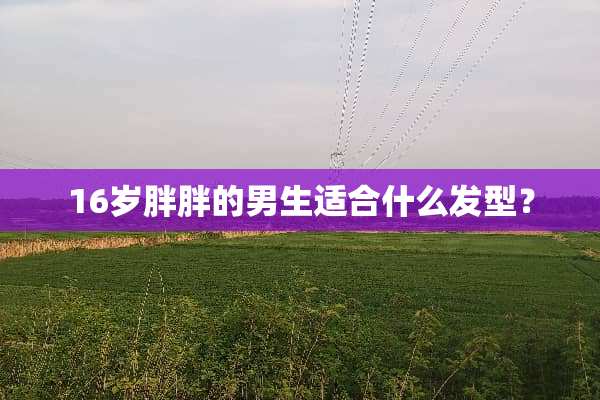 16岁胖胖的男生适合什么发型？