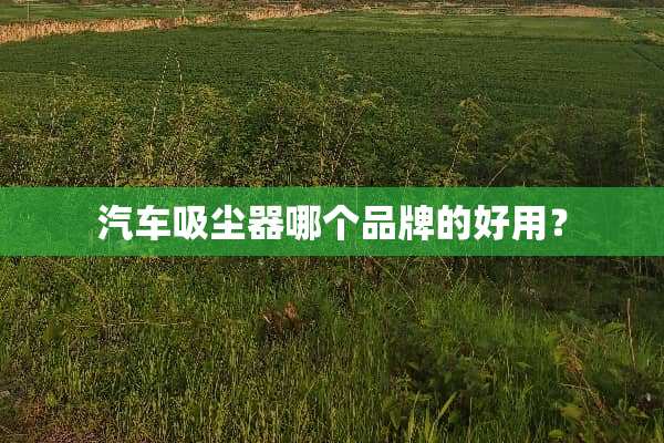 汽车吸尘器哪个品牌的好用？