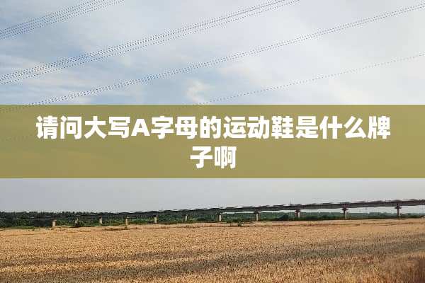 请问大写A字母的运动鞋是什么牌子啊