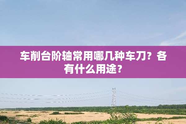 车削台阶轴常用哪几种车刀？各有什么用途？