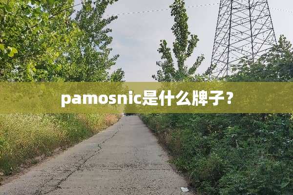 pamosnic是什么牌子？