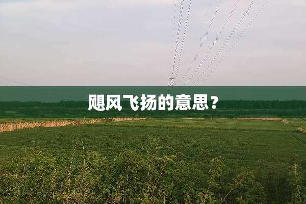 飓风飞扬的意思？