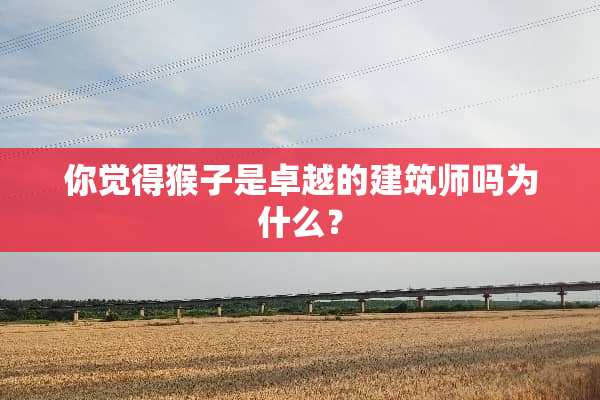 你觉得猴子是卓越的建筑师吗为什么？