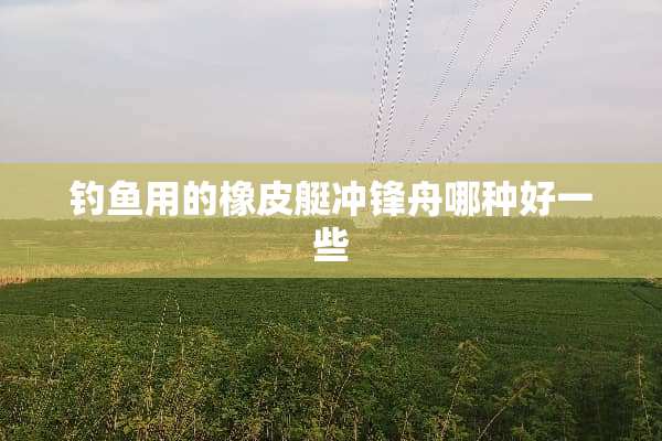 钓鱼用的橡皮艇冲锋舟哪种好一些