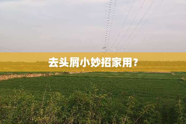 去头屑小妙招家用？
