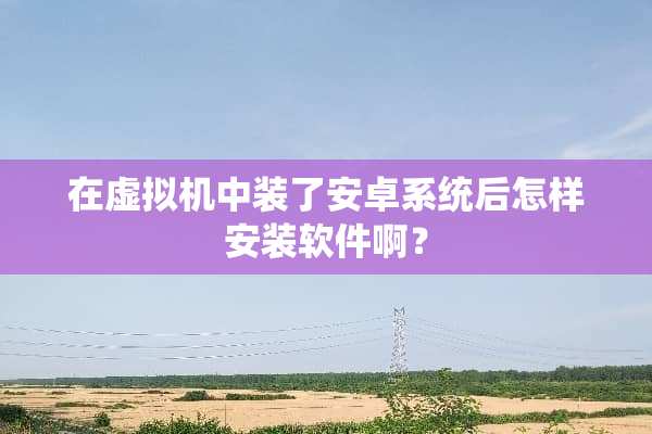 在虚拟机中装了安卓系统后怎样安装软件啊？