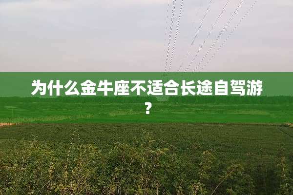 为什么金牛座不适合长途自驾游？