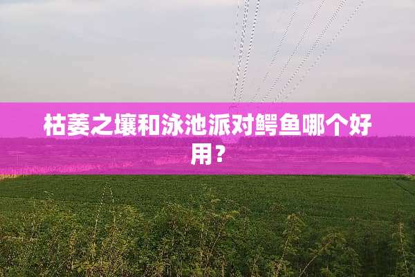 枯萎之壤和泳池派对鳄鱼哪个好用？