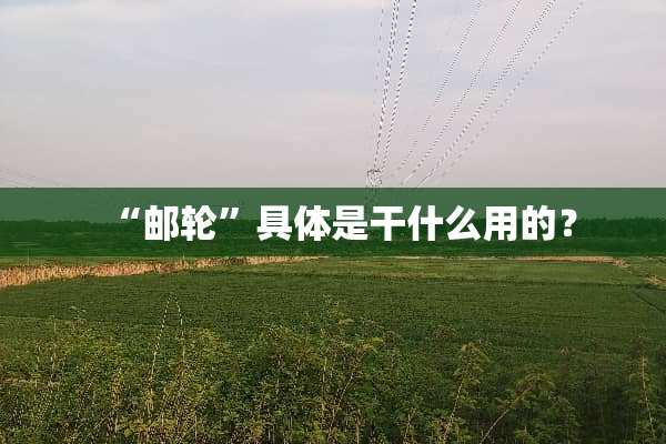 “邮轮”具体是干什么用的？