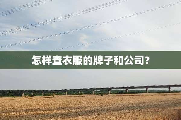 怎样查衣服的牌子和公司？