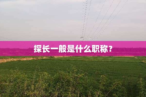 探长一般是什么职称？