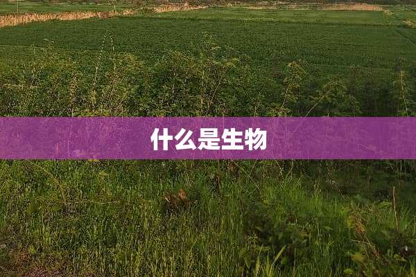 什么是生物
