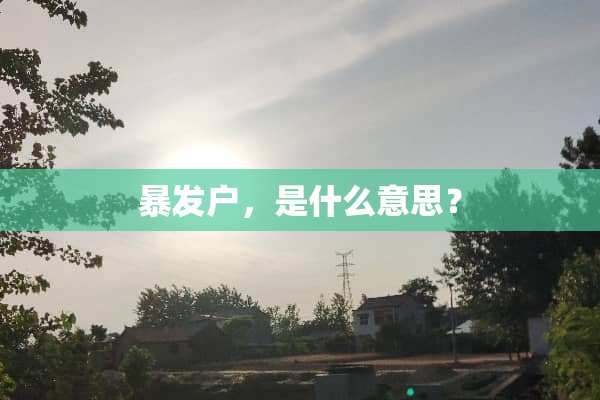 暴发户，是什么意思？