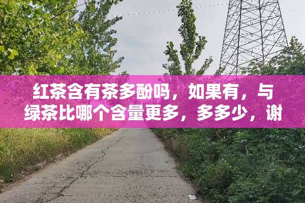 红茶含有茶多酚吗，如果有，与绿茶比哪个含量更多，多多少，谢谢