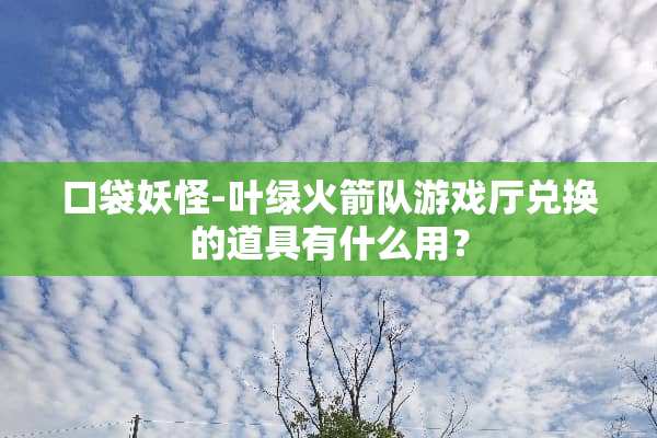 口袋妖怪-叶绿火箭队游戏厅兑换的道具有什么用？