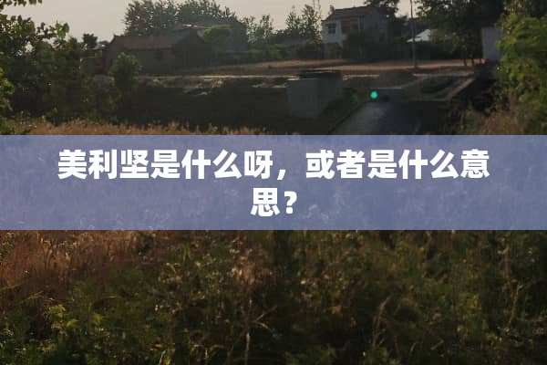 美利坚是什么呀，或者是什么意思？
