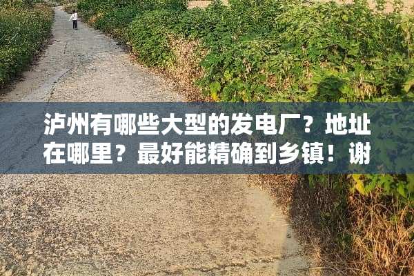 泸州有哪些大型的发电厂？地址在哪里？最好能精确到乡镇！谢谢