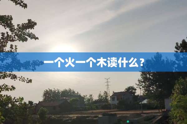 一个火一个木读什么？