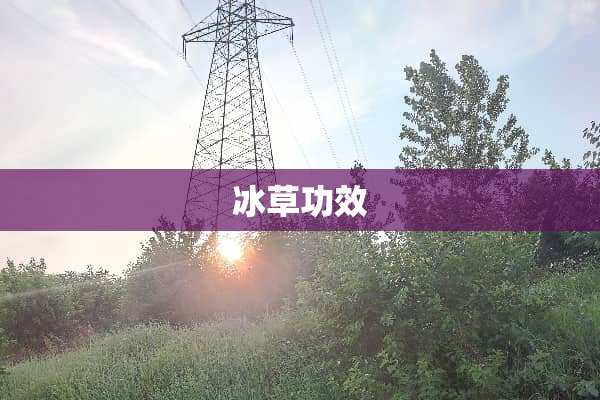 冰草功效