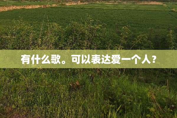 有什么歌。可以表达爱一个人？
