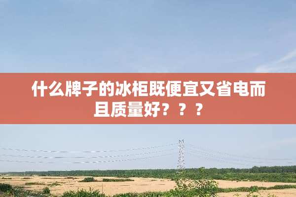 什么牌子的冰柜既便宜又省电而且质量好？？？