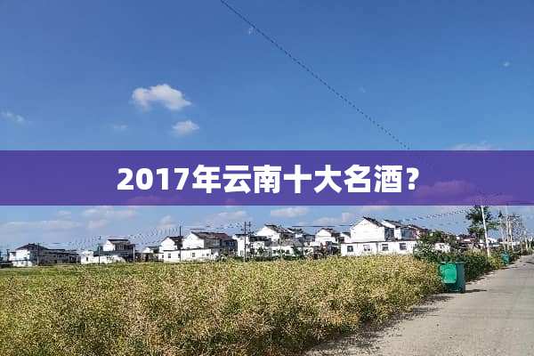 2017年云南十大名酒？