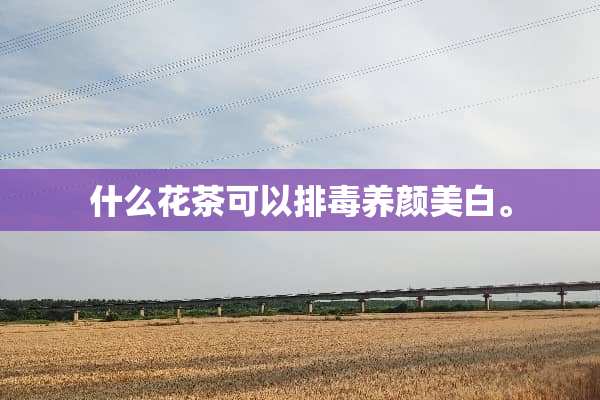 什么花茶可以排毒养颜美白。