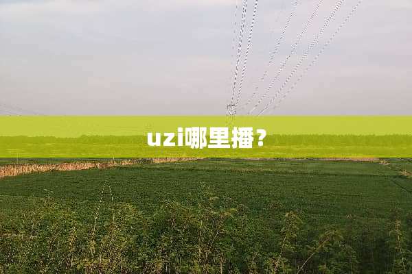uzi哪里播？