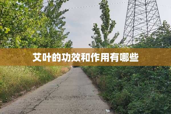 艾叶的功效和作用有哪些
