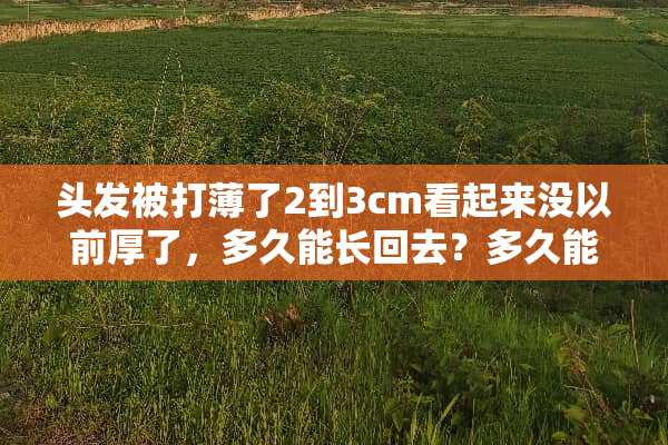 头发被打薄了2到3cm看起来没以前厚了，多久能长回去？多久能变厚？