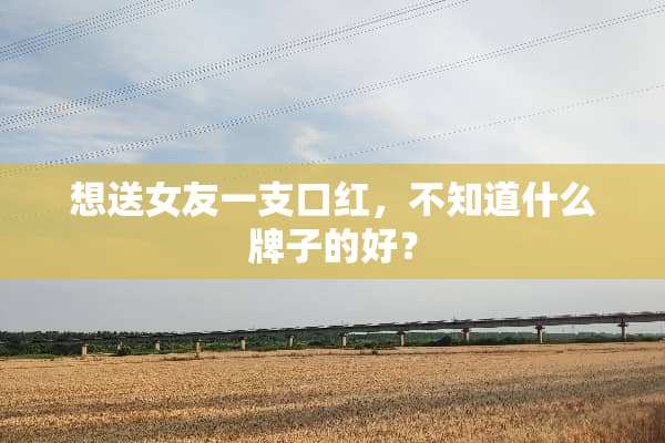 想送女友一支口红，不知道什么牌子的好？