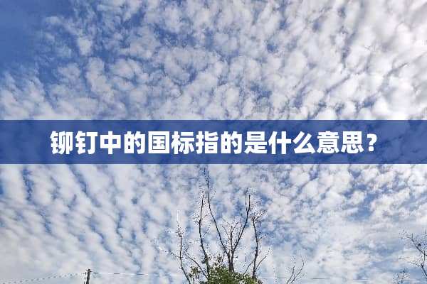铆钉中的国标指的是什么意思？