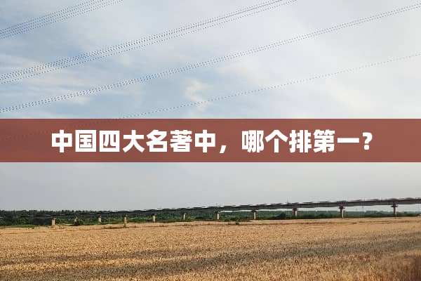 中国四大名著中，哪个排第一？