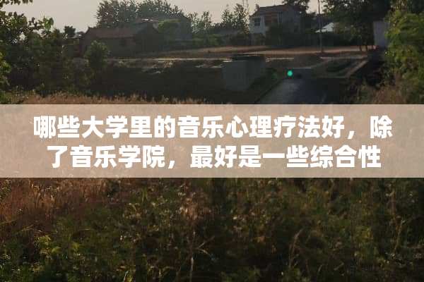 哪些大学里的音乐心理疗法好，除了音乐学院，最好是一些综合性的大学。