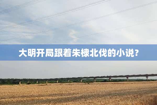 大明开局跟着朱棣北伐的小说？