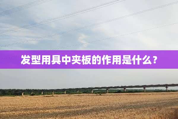 发型用具中夹板的作用是什么？