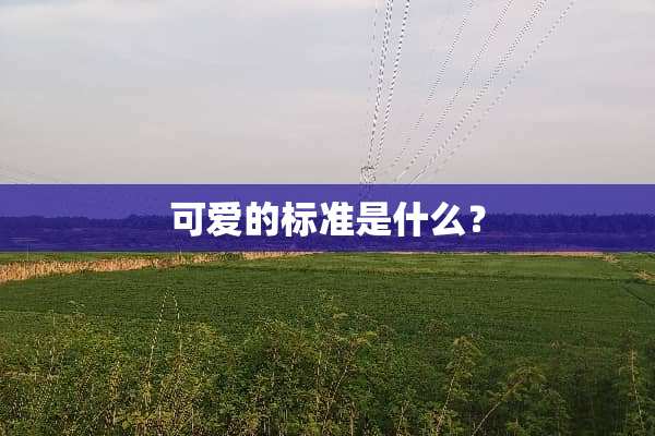 可爱的标准是什么？