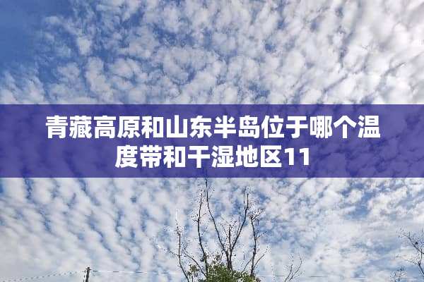 青藏高原和山东半岛位于哪个温度带和干湿地区11