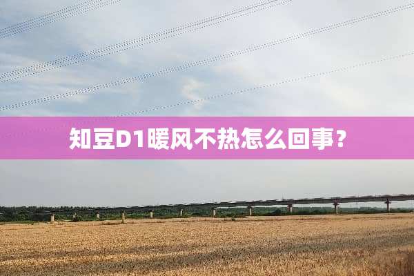 知豆D1暖风不热怎么回事？