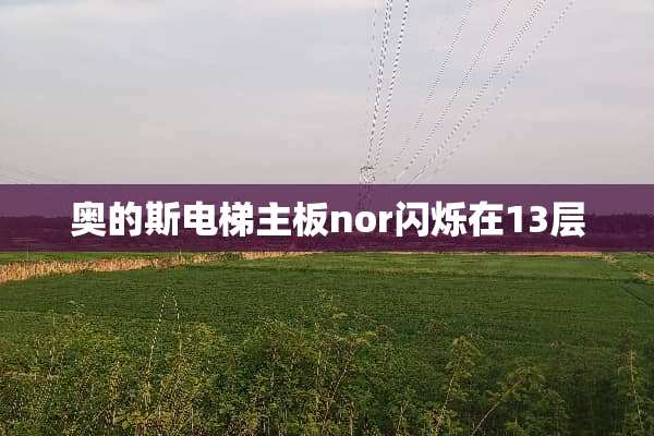 奥的斯电梯主板nor闪烁在13层