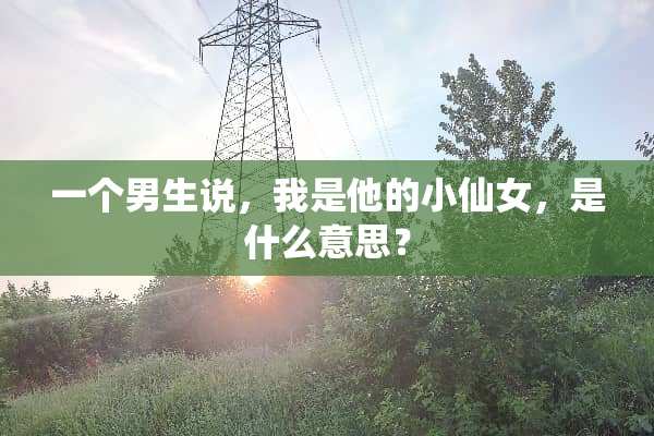 一个男生说，我是他的小仙女，是什么意思？