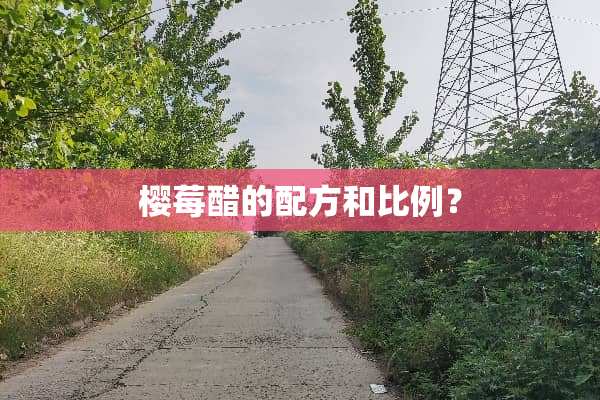 樱莓醋的配方和比例？